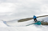 Animal Battle Of Britain Ski Thumbnail
